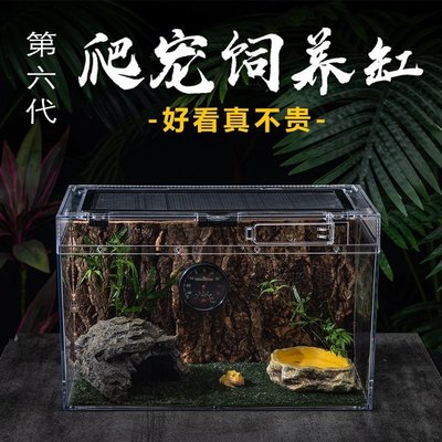 現貨熱銷-飼養盒爬寵生態養殖蜥蜴套裝飼養箱景觀角蛙用品雨林缸寵物其滿仟免運