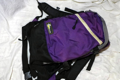 Beebub 大型後背包，二手堪用零件品登山背包 電腦背包 背包客旅行 減壓揹帶背包(NIKE 愛迪達 迪卡儂 參考