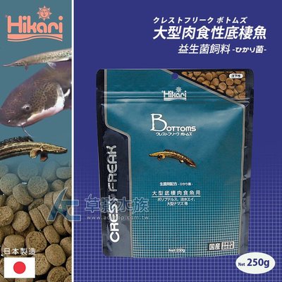 【AC草影】 Hikari 高夠力 大型肉食性底棲魚益生菌飼料（250g）【一包】