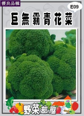 【野菜部屋~】E09 巨無霸青花菜種子4公克(約760粒) , 營養價值高 , 每包190元~