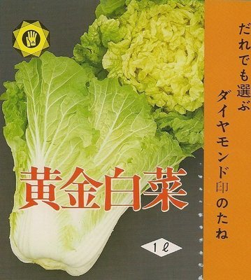【媽咪蔬果園】、日本進口黃金白菜　種子