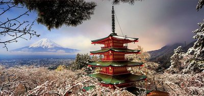 18013 3000片歐洲進口拼圖 EDUCA 風景 日本 富士山 五重塔 櫻花 雪景
