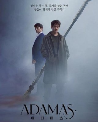 dvd 韓劇【獵鉆緝兇/阿達瑪斯/Adamas】2022年
