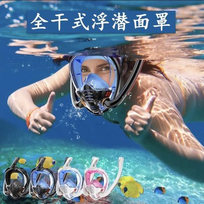 雙管潛水面罩浮潛三寶潛水呼吸器 不嗆水 防霧面罩全干式游泳裝備~特價~特價