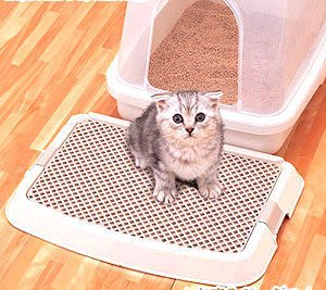 ☆米可多寵物精品☆日本IRIS貓用落砂盤砂踏墊貓咪專用刮砂板NO-550超低價↘