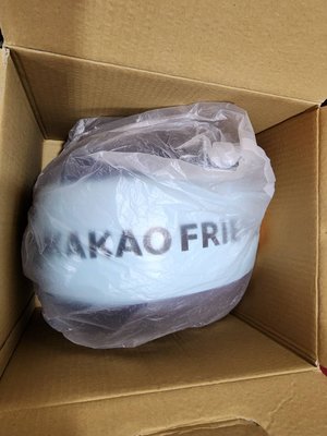 全新絕版品 全家 KAKAO FRIENDS RYAN 安全帽 K-805