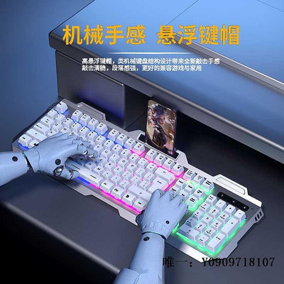 有線鍵盤狼蛛有線鍵盤鼠標套裝機械手感發光電腦臺式USB有字符燈光背光懸鍵盤套裝