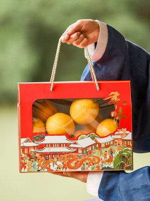 奇奇~創意新年禮盒包裝盒過年土特產水果干貨手提盒燙金高檔禮品盒定制