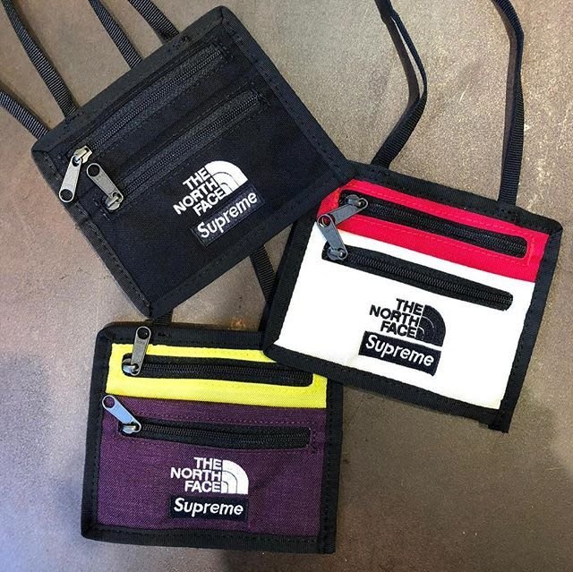 supreme the north face travel wallet