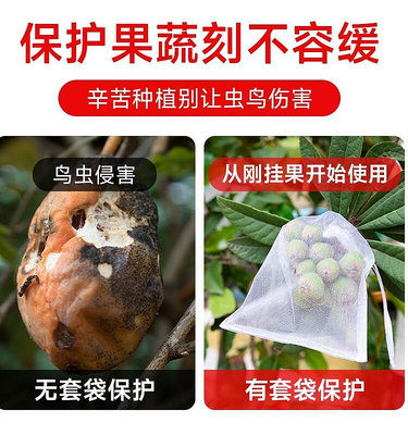 溜溜水果套袋桃子葡萄防蟲防鳥專用袋水蜜桃黃桃防果蠅尼龍保護網紗袋