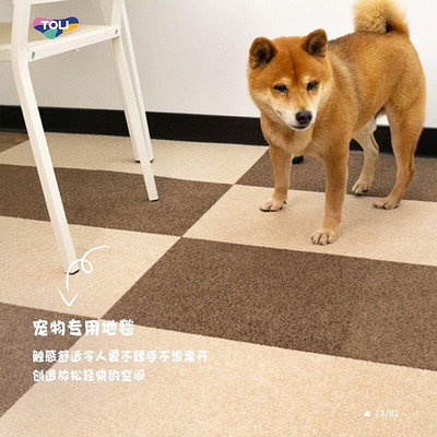 【熱賣精選】TOLI寵物拼接地毯防污漬地毯日式拼接塊地毯客廳防滑墊