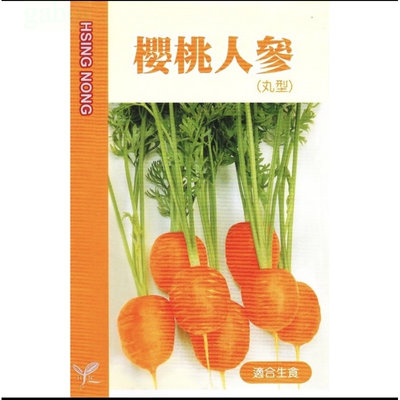 種子王國 櫻桃人參 櫻桃蘿蔔【蔬果種子】大包裝 1磅/包