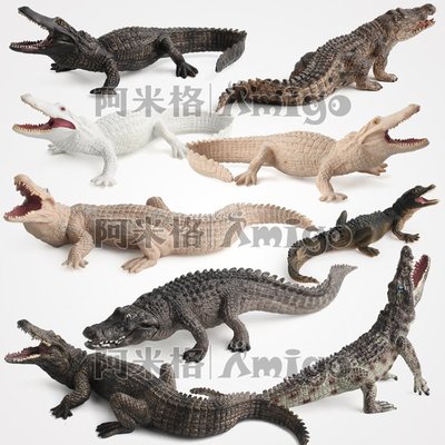 阿米格Amigo│一套9款 鱷魚 Crocodile 仿真動物模型 科教 教學 公仔 擺設 玩具 兒童 幼兒 禮物