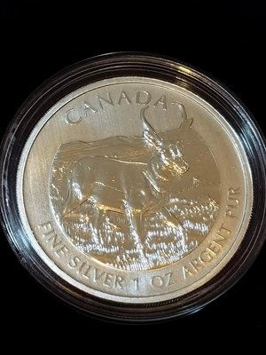 2013 Canadian Pronghorn Antelope 1英兩銀幣 1枚  (現貨)