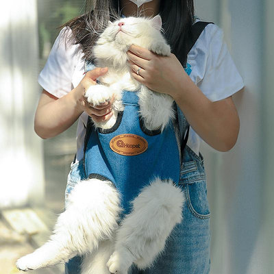 寵物網布背包貓包透氣輕便雙肩包現貨外出便攜貓咪寵物包寵物揹帶 寵物背包 寵物包 胸背包 寵物後背包 胸背帶