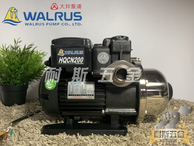 【耐斯五金】♨活動優惠♨ HQCN200 1/4HP 大井WALRUS 熱水專用加壓機 ｢白鐵葉輪 保固兩年｣