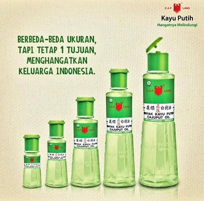 🇮🇩印尼超人氣 鷹標正庄白樹油 /Minyak Kayu Putih Cap Lang/Cajuput Oil