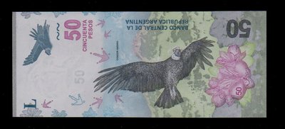 【低價外鈔】阿根廷2018年50PESO紙鈔一枚，安地斯山與神鷹圖案，特價中~(B字軌)