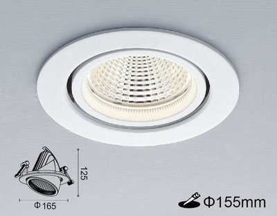 舞光商業照明 30W LED 挑高伸縮崁燈/投射燈-25124 崁孔155MM 三種色溫可選擇 全電壓