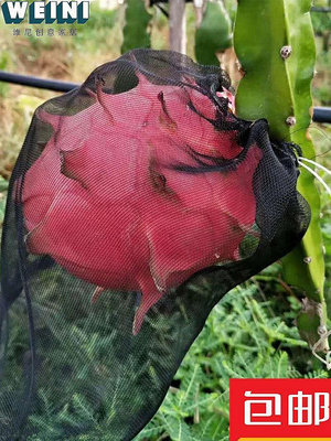 【鄰家Life】水果防鳥防果蠅防蟲網袋火龍果專用黑色套袋套果袋防蜂防蟲網袋