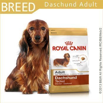 *☆╮艾咪寵物精品╭☆*  超低價  法國皇家狗飼料臘腸成犬PRD28-7.5KG/7.5公斤