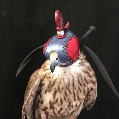 鷹具手工牛皮鷹帽子牛皮鷹眼罩荷蘭式鳥用品~爆款優惠價| Yahoo奇摩拍賣