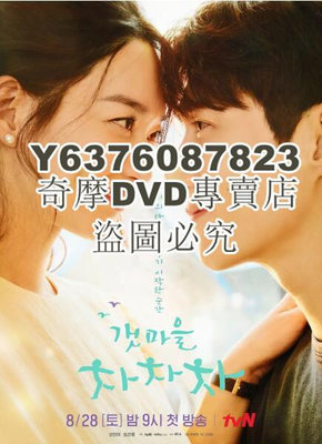 DVD影片專賣 2021韓劇 海岸村恰恰恰/洪班長 申敏兒/金宣虎 高清盒裝4碟