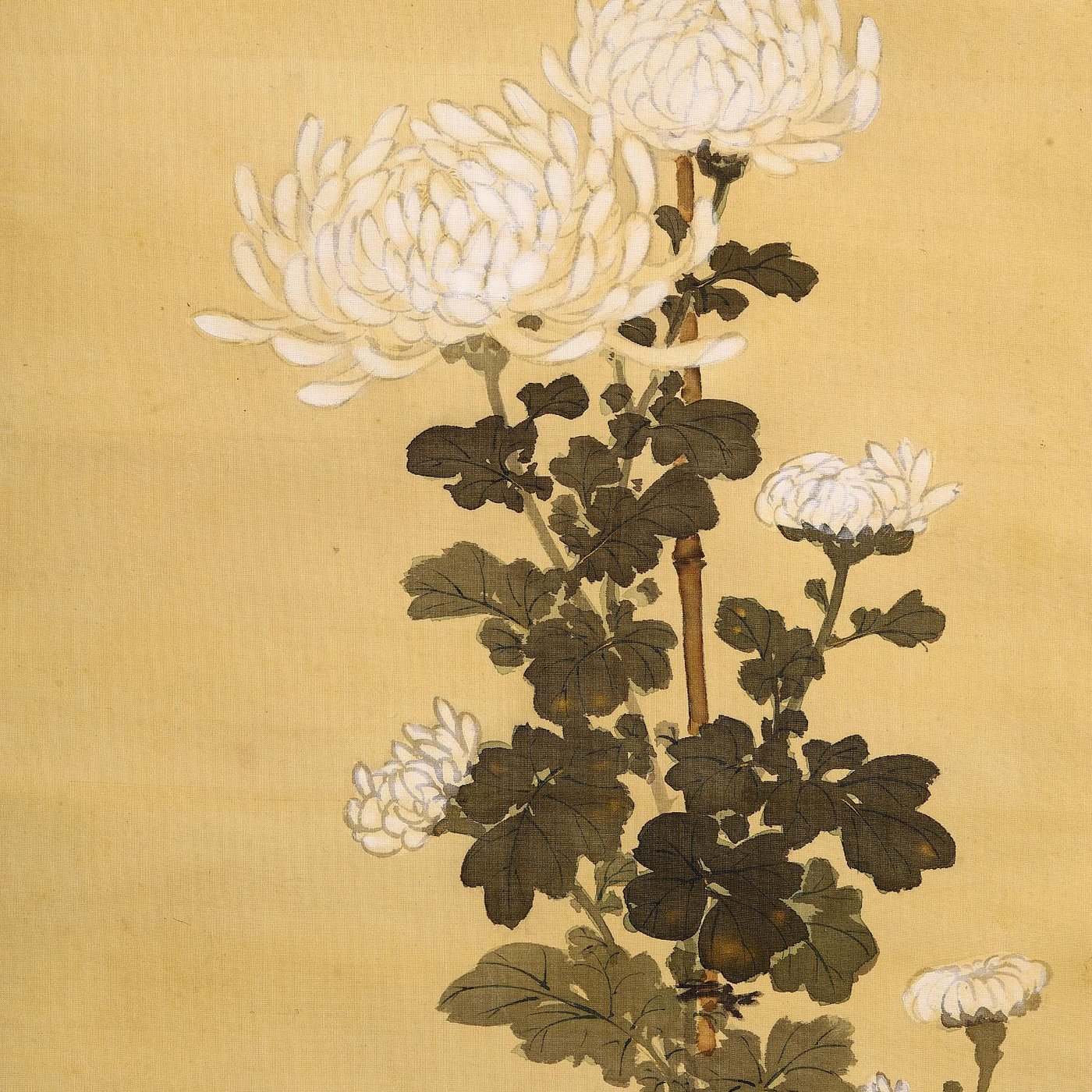 日本最大の 掛軸 中国美術 中国書画 山水 風月 花鳥 肉筆絹本 櫻花双鯉 