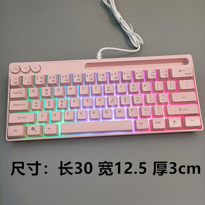 鍵盤 有線小鍵盤迷你可愛筆記本外接USB女生臺式機加厚網紅直播粉紅色