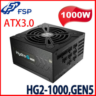 【MR3C】含稅 FSP全漢 HG2-1000 1000W ATX3.0 Hydro G PRO 全模組 金牌電源供應器