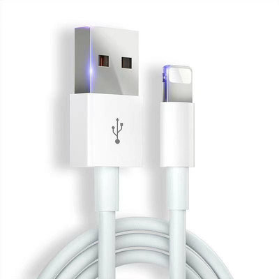 充電線 傳輸線 數據線 適用iPhone系列 13 12 11 Pro Max XR XS Apple 蘋果 Ipad