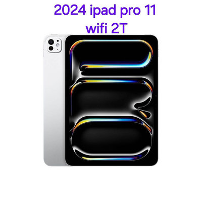 WiFi版 2024 Apple iPad Pro 11吋 2T