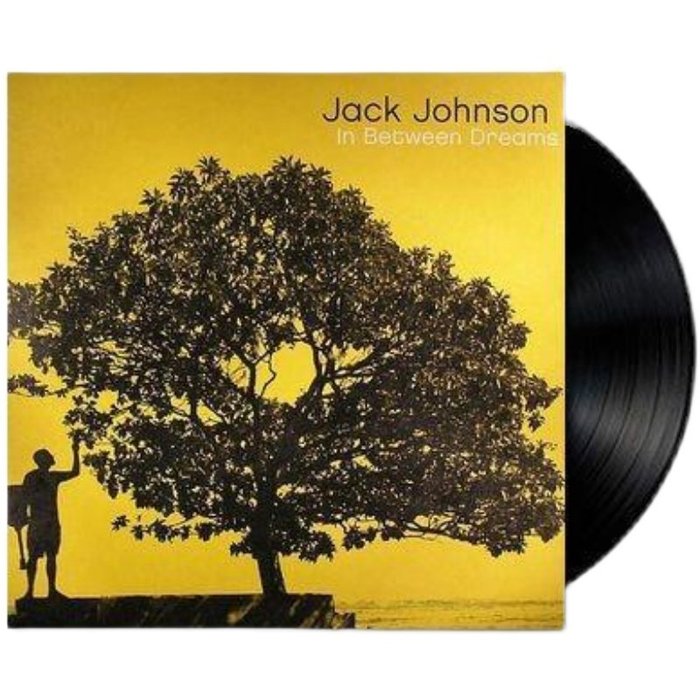 美しい Jack Johnson In Between Dreams LP盤