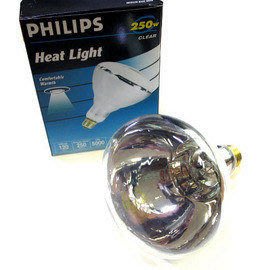 飛利浦250W E27 120V 紅外線燈泡(清光)飛利浦 PAR38-250w紅外線燈泡 紅外線溫熱燈泡 / 清面