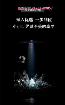 小智世界海底星空桌面迷你小型造景魚缸定制全套生態循環缸免換水