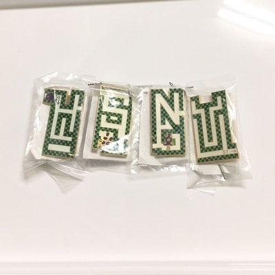 造型徽章 師大附中 57屆 畢業紀念品 造型別針 書包 包包 裝飾品 送禮 收藏 綠色方塊 迷宮設計 只有一件