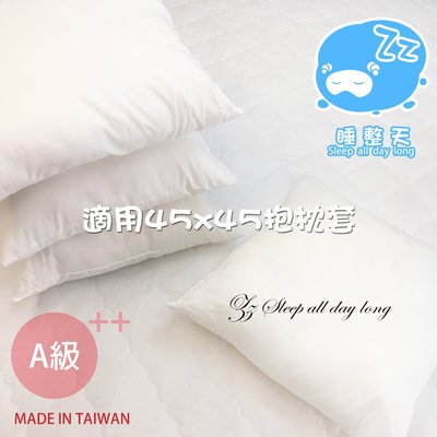 【枕心】抱枕心↗45*45公分↗可超取↗MIT台灣製 睡整天