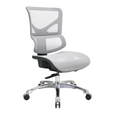【〜101辦公世界〜】BI-03SGA中背人體工學椅(全網布)~職員椅...多功能辦公椅、自載重4段後仰鎖定底盤