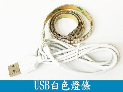 (Z0155)USB LED白色燈條 滴膠防水 0.5米