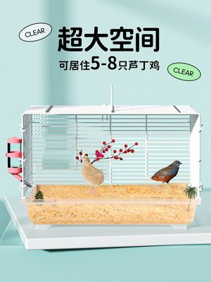 下殺-【公司貨 品質無憂】蘆丁雞寵物飼養箱幼雞專用雞籠子觀賞養殖籠全套盧丁雞的房子箱子