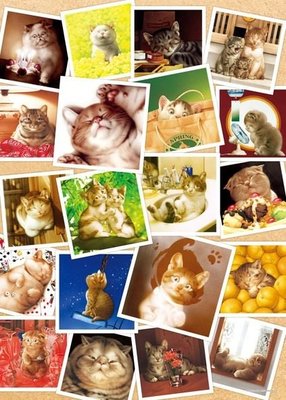日本正版拼圖 Makoto 村松誠 貓 CAT 500片絕版拼圖，500-156