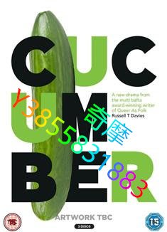DVD 專賣店 黃瓜第一季/Cucumber Season 1