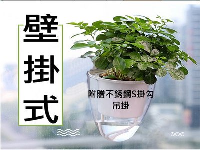 透明壁掛花盆 Ptt討論與高評價網拍商品 21年7月 飛比價格