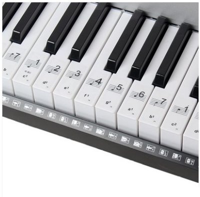 律揚樂器 88鍵 61鍵 透明鋼琴貼紙 電子琴 鍵盤樂器可用 快速找到鍵位 初學幫手 簡譜 五線譜
