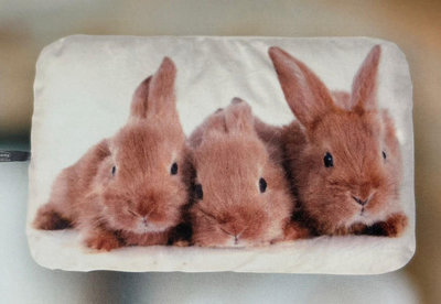 【宇冠】德國fashy 兔兔枕造型 0.8L冷/熱水袋,特價優惠$700元