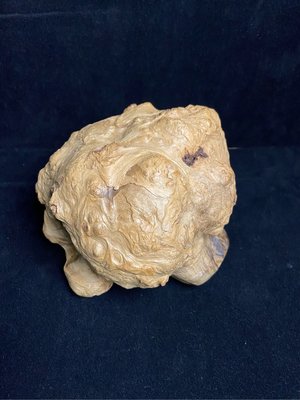 [一木子檜木精品]台灣黃檜倒格料鳳尾球瘤榴一刀完整有過花