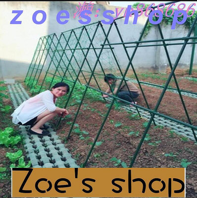 zoe-中瓜棚架 家庭花棚 扶植架 壁掛網屏風架 葡萄架 花園爬騰桿 撐蔬菜支架