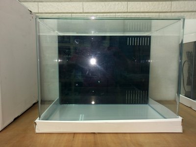 *海葵達人*全新改版1.5尺超白玻璃ㄇ型背濾缸(45*35*35cm/5mm)