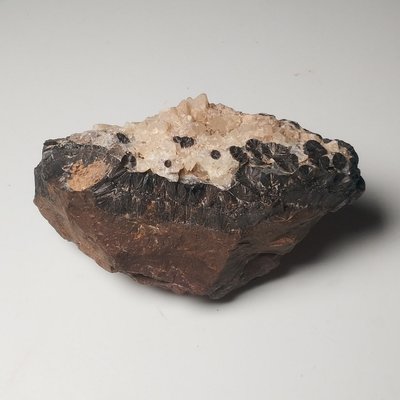 【國石 名石】276天然戈壁灘帶結晶體的錳結核原石礦標教學小擺件尺寸112X63X60凌雲閣名石擺件