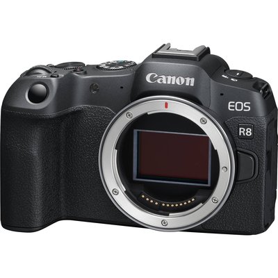 Canon EOS R8 單機身〔不含鏡頭〕全片幅 微單眼 公司貨【現折+回函贈禮~2024/5/31止】